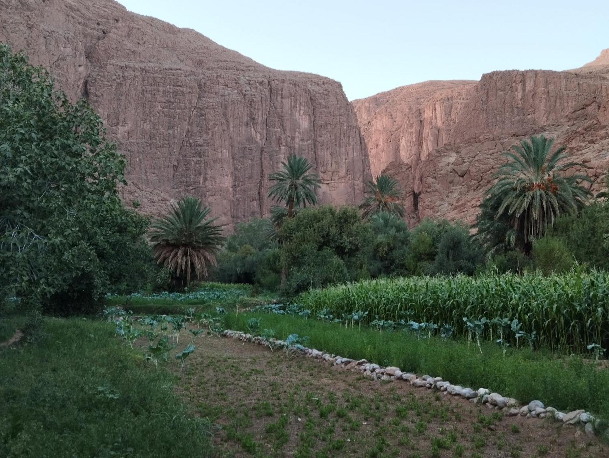 Riad La Fleur Ait Baha Екстер'єр фото