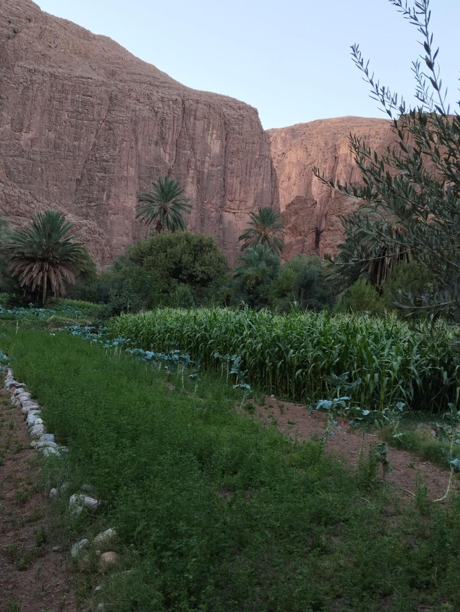 Riad La Fleur Ait Baha Екстер'єр фото